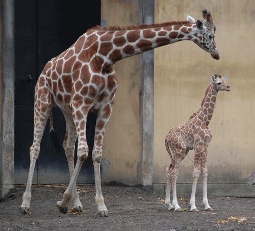 2月22日のスポットガイド