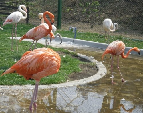 4月27日のスポットガイド