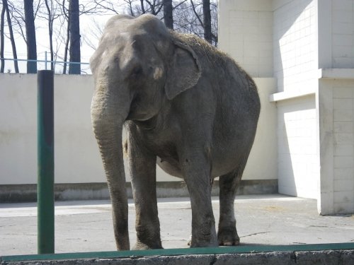 ４月２８日のスポットガイド