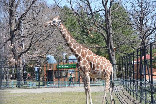 4月30日のスポットガイド