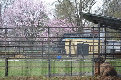 5月1日のスポットガイド