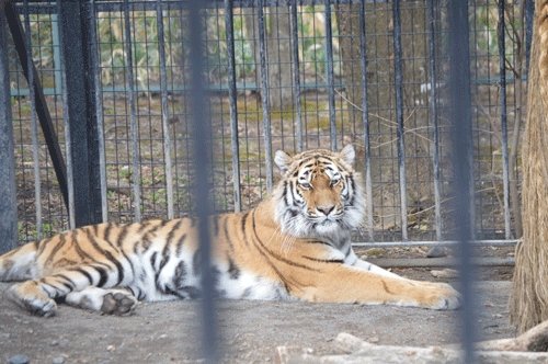 5月2日のスポットガイド