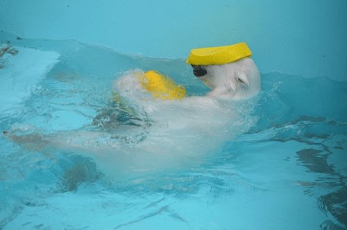 5月3日のスポットガイド