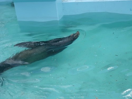 5月4日（日）のスポットガイド