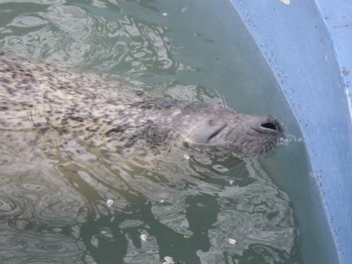 5月5日のスポットガイド