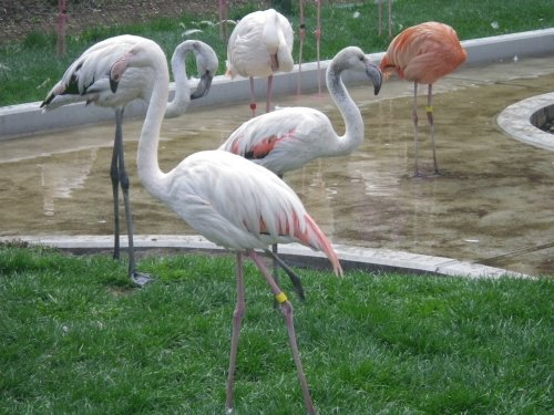 5月6日のスポットガイド