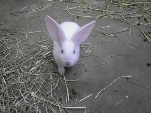 5月7日（水）のスポットガイド