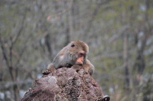 5月8日のスポットガイド