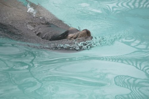 5月9日のスポットガイド