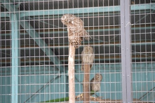 5月10日のスポットガイド