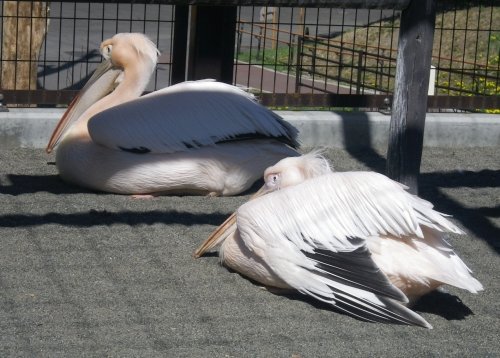 5月11日のスポットガイド