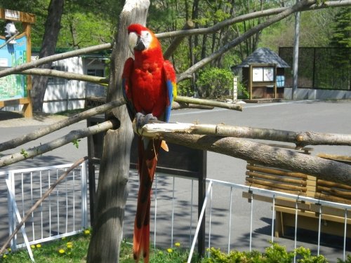 5月12日のスポットガイド