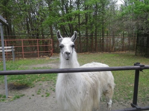 5月13日のスポットガイド