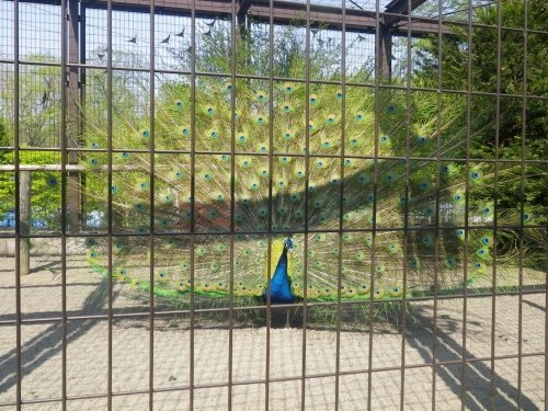 5月14日のスポットガイド