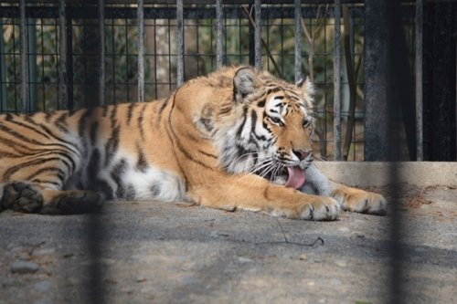 5月15日のスポットガイド