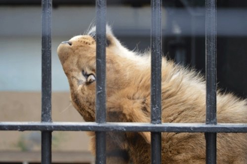5月16日のスポットガイド