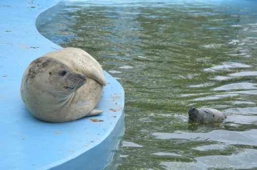 5月17日のスポットガイド