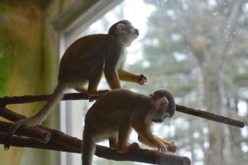 5月18日のスポットガイド