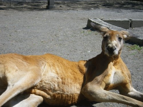 5月19日のスポットガイド