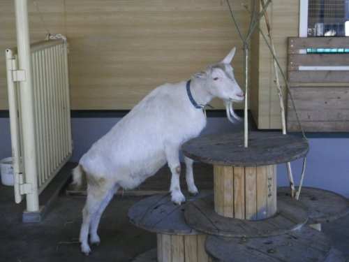 5月20日スポットガイド