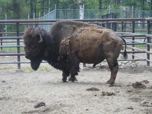 5月21日のスポットガイド