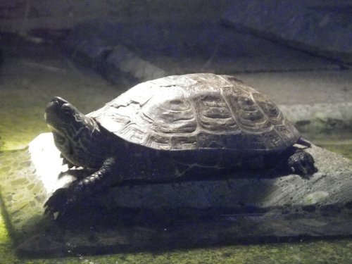 5月22日のスポットガイド