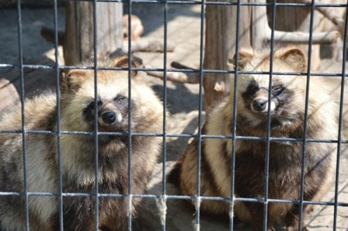 5月23日のスポットガイド