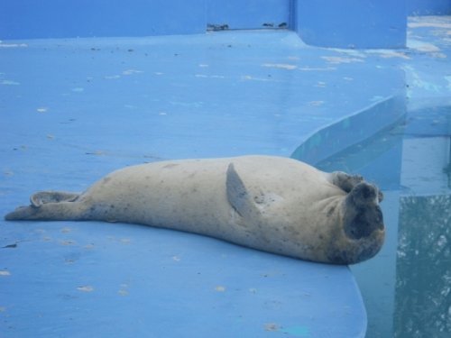 5月25日のスポットガイド