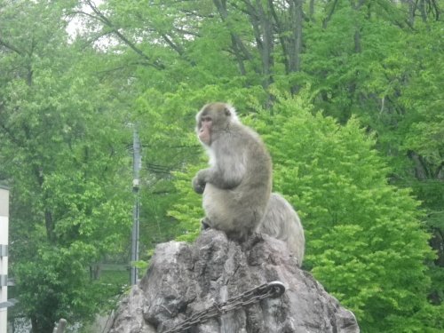 5月26日のスポットガイド