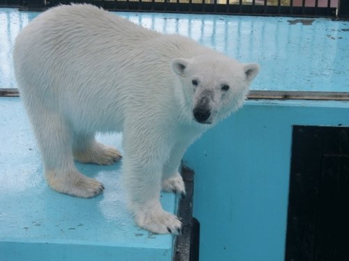 5月27日のスポットガイド