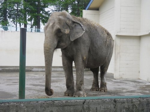 5月28日のスポットガイド