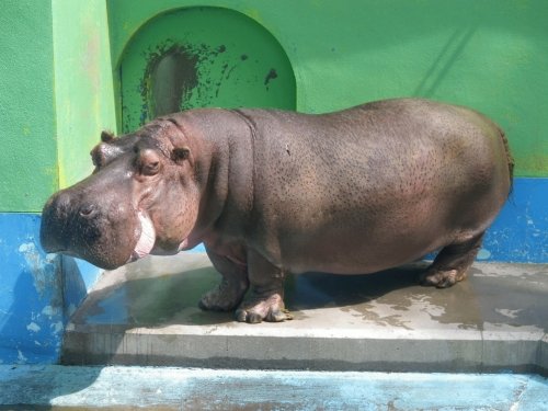 5月29日のスポットガイド