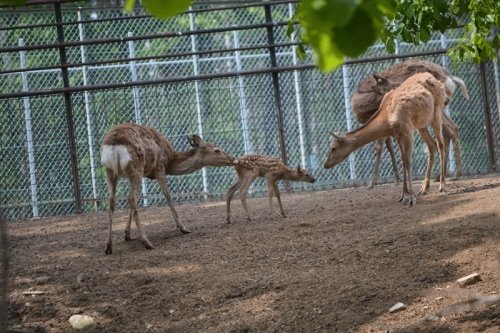 5月30日のスポットガイド