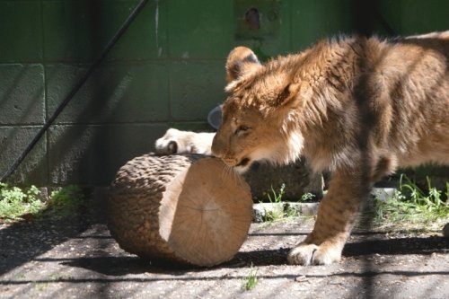 5月31日のスポットガイド