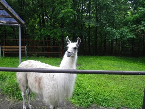 7月10日のスポットガイド