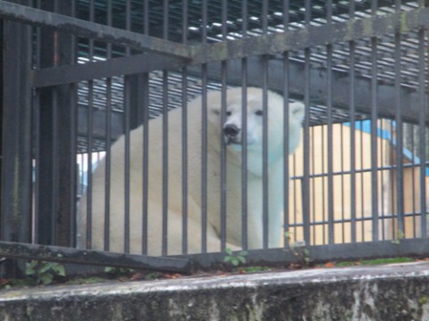 10月11日のスポットガイド