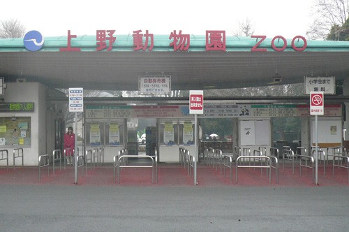 動物園の楽しみ方