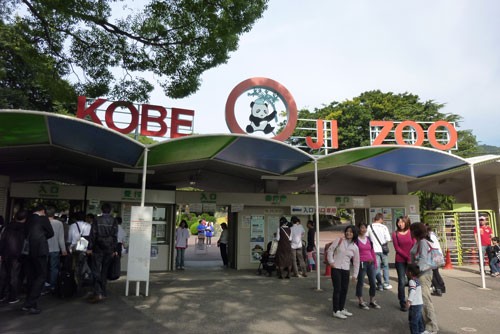 きりん娘 in 神戸市立王子動物園