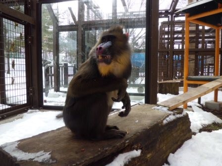 コメ食うヒトビト