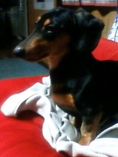 ちょっと凛々しく