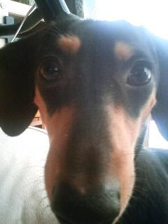 朝の風景 ラオウバ―ジョン