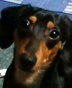 地震にも怯えない！