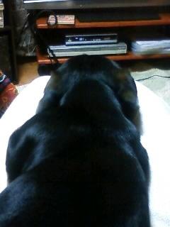 続・ハマりそう！