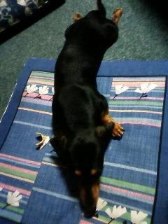 ながっ＼(◎o◎)／