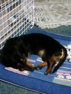 イヤな天気ですね