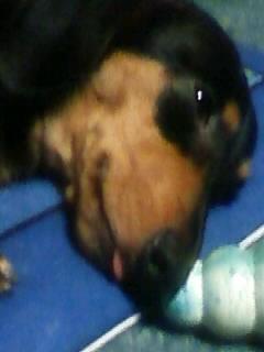 ちょっと前になりますが