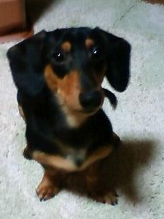 ラオウとは(おまけ)