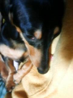 今日はごめんよ～