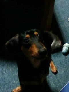 何が見えるの？？