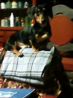 お気に入りの場所